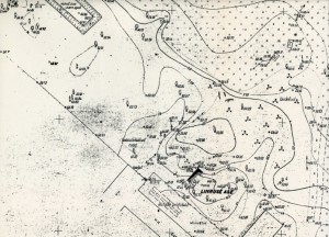 U.Hermanni geodeetiline plaan vasall-linnuse asemest ja selle naabruses olevast pargialast